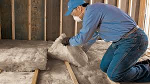 Best Insulation Replacement  in Batesville, TX